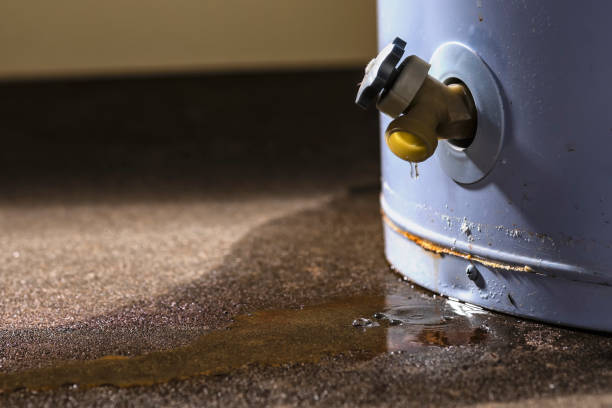 Best Basement water damage restoration  in Kendall, FL