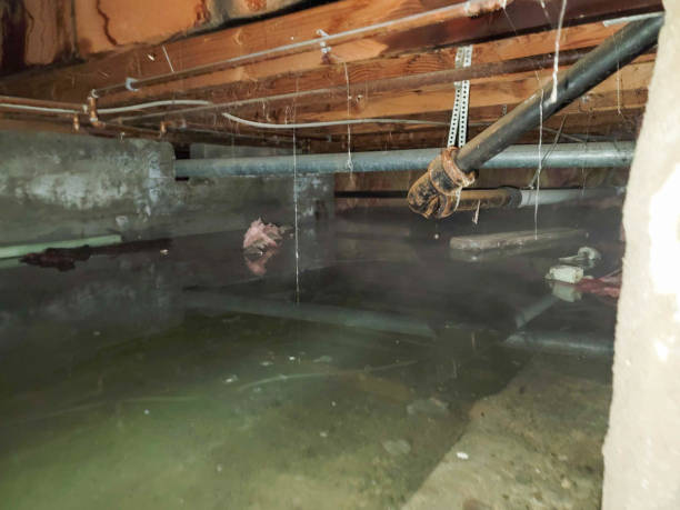 Best Emergency water damage restoration  in Kendall, FL