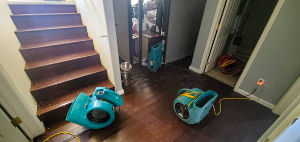 Best Commercial water damage restoration  in Kendall, FL
