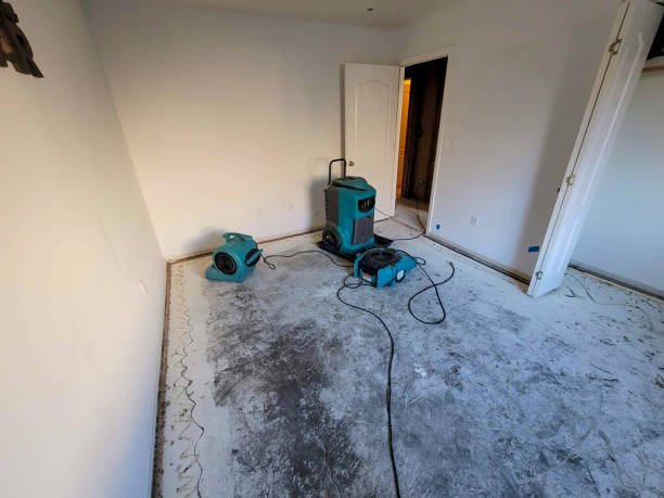 Best Water damage restoration insurance claims  in Kendall, FL