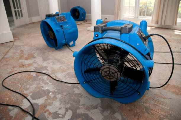 Best Ceiling water damage repair  in Kendall, FL