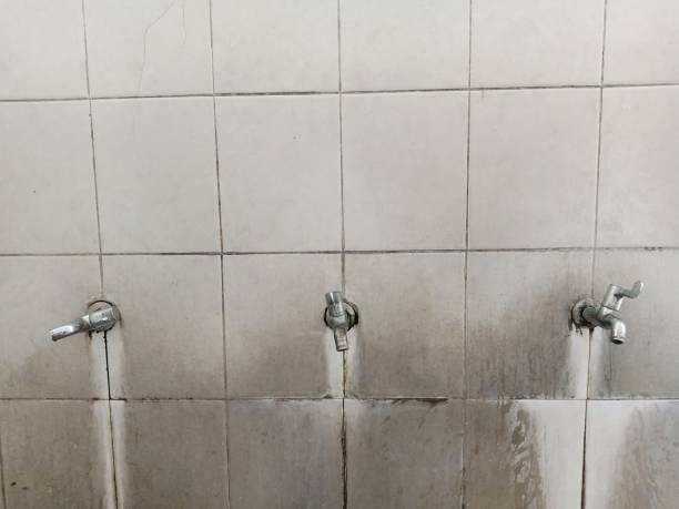Best Local water damage restoration  in Kendall, FL