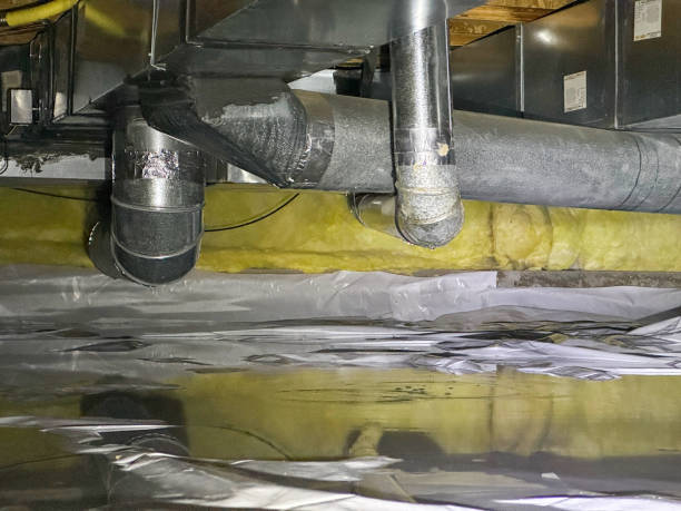 Best Flood damage cleanup  in Kendall, FL