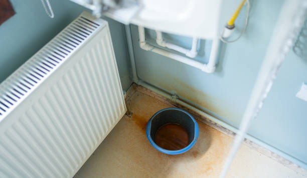 Best Ceiling water damage repair  in Kendall, FL