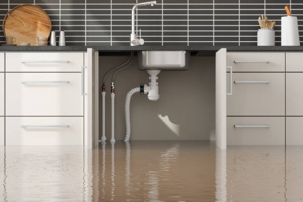 Best Water damage restoration near me  in Kendall, FL