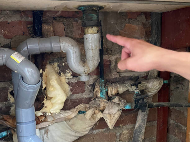 Best Water damage contractors near me  in Kendall, FL