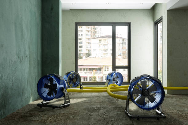 Best Commercial water damage restoration  in Kendall, FL