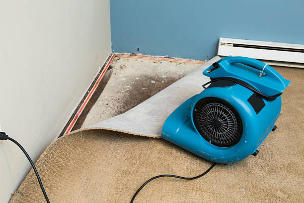 Best Flood restoration services  in Kendall, FL